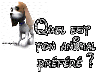 quel est ton animal pref?
